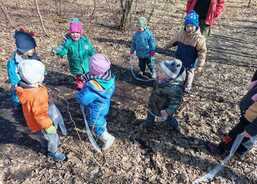 Skřítkové a víly